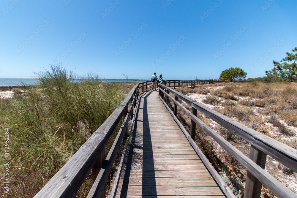 Wooden pathway on the Ria Formosa marshlands located in the Algarve, Portugal.