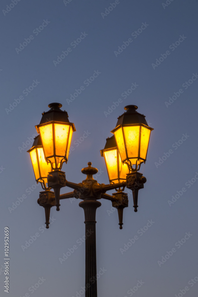 View of typical european streetlight lit at twilight.