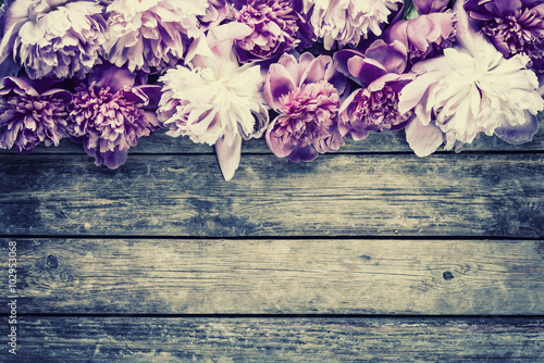 Vintage Background with Flower