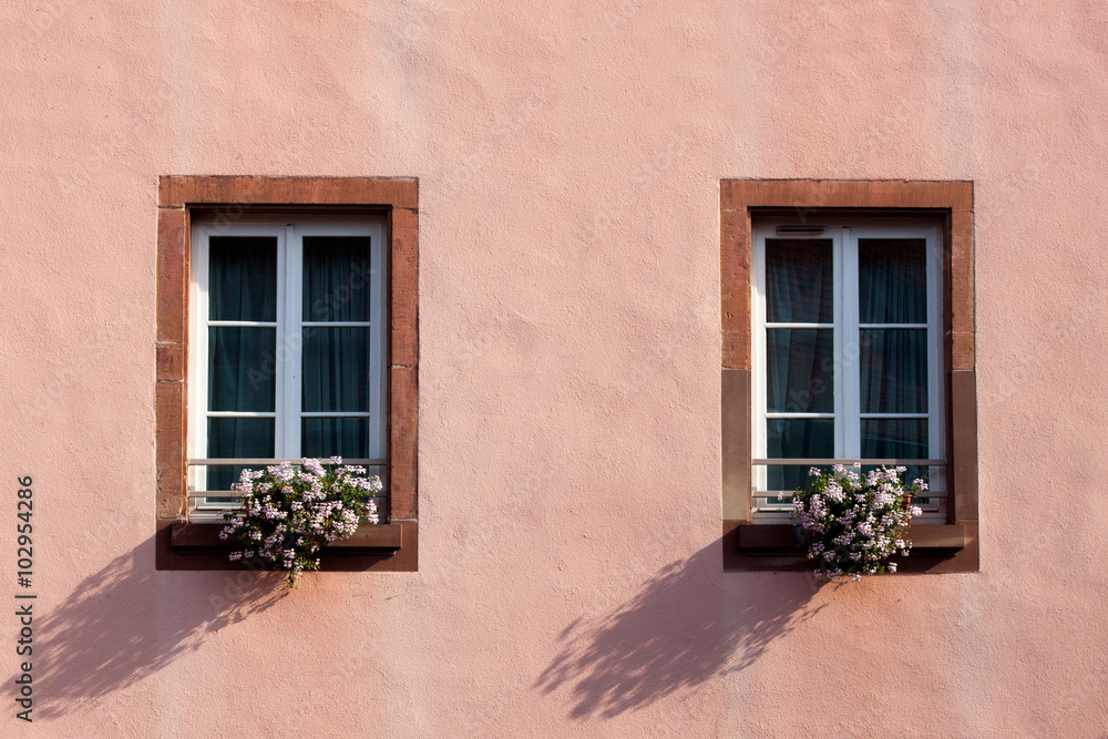Window and flowers Window and flowers