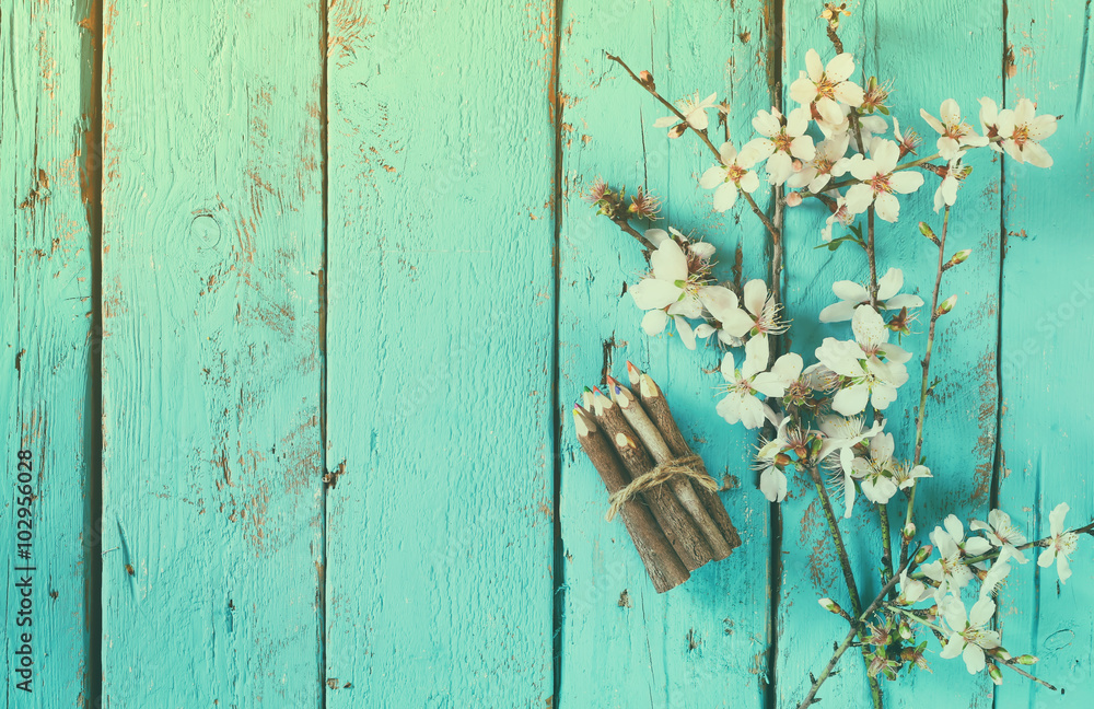 image of spring white cherry blossoms tree next to wooden colorful pencils on blue wooden table. vintage filtered image
image of spring white cherry blossoms tree next to wooden colorful pencils on blue wooden table. vintage filtered image