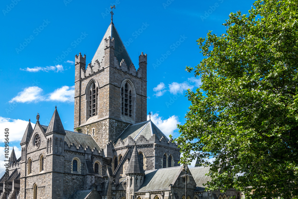 Ireland, Dublin, the Christchurch cathedral