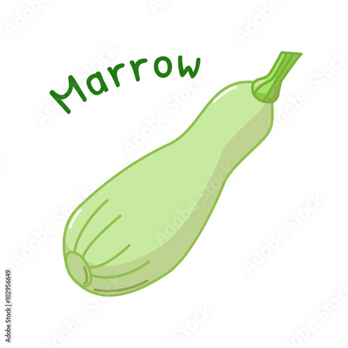 0049_marrow