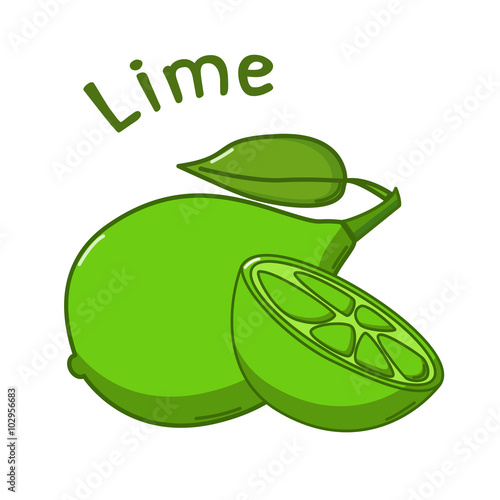 Isolated lime icon