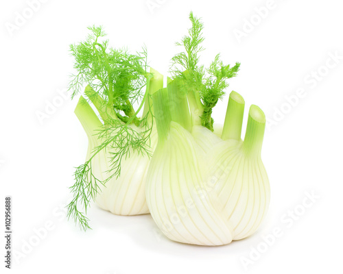 Gemüse Fenchel