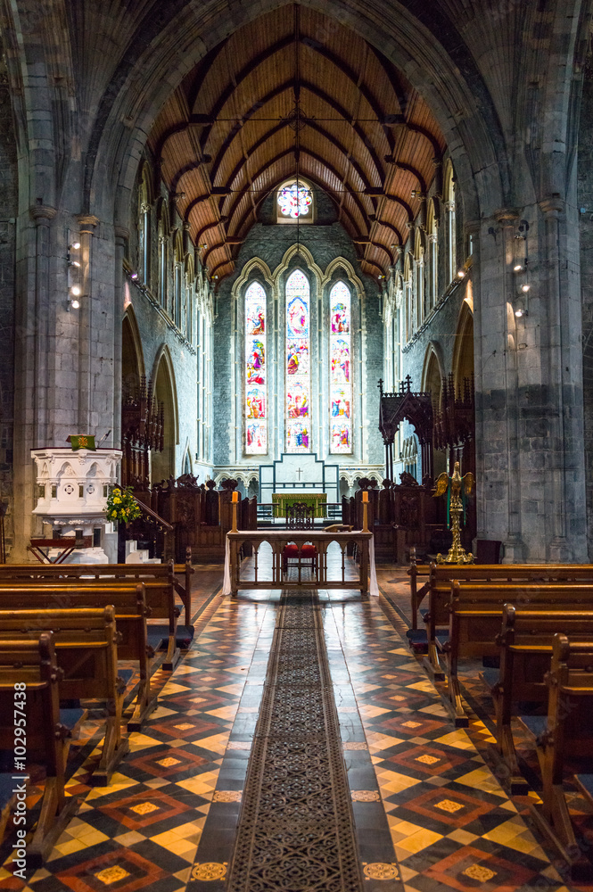 Ireland, Kilkenny, the St Canice's cathedral inside