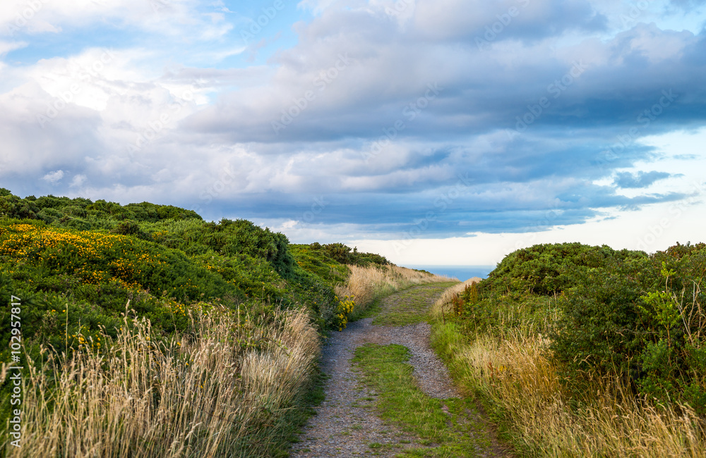 Ireland, Dublin county, landscape of the Howth headland Ireland, Dublin county, landscape of the Howth headland