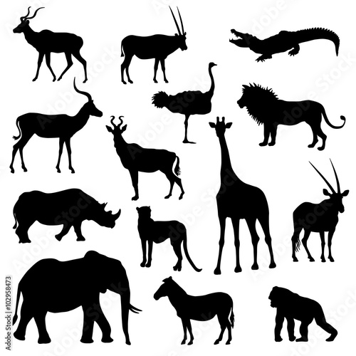Set Of African Animals