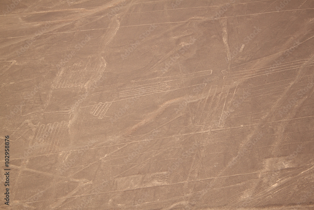 Fototapeta premium Aerial view of the Nazca Lines - big bird