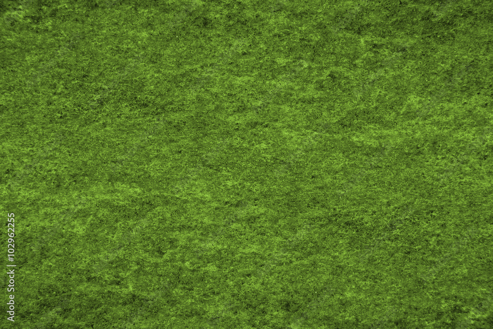 green texture of the wall for background green texture of the wall for background