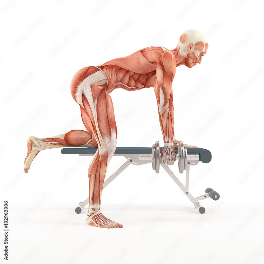 Bodybuilding gym exercising. Tricep Dumbbell Kickback. Triceps