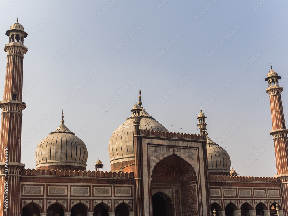 Obraz premium jama Masjid in Delhi, India