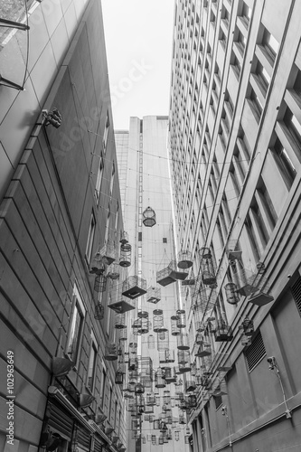 Photography bird cage alley in sydney