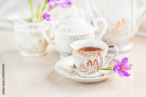 cup of tea or coffee and crocus flowers