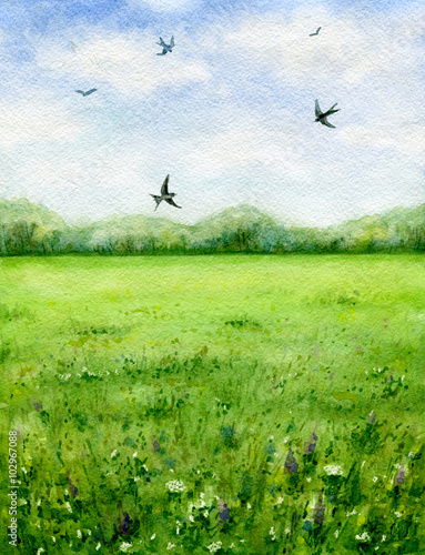 Summer view of the green meadow and flying birds.