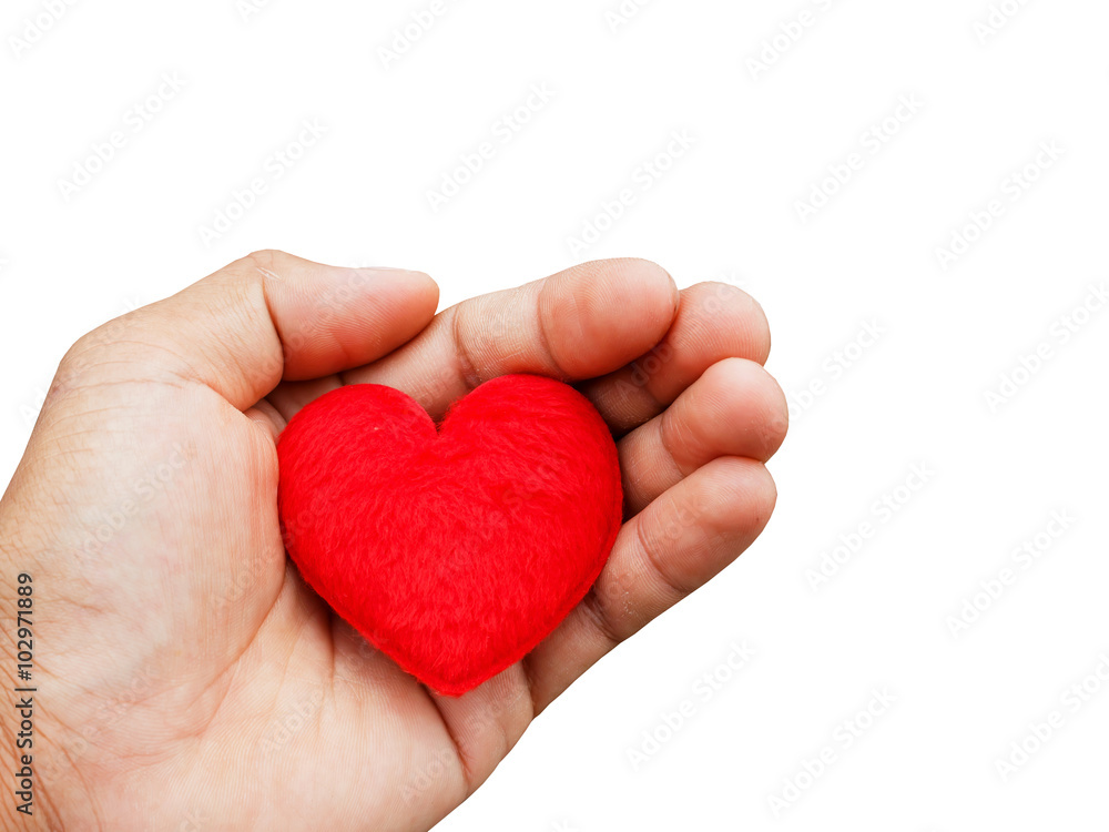 Hand hold heart on white