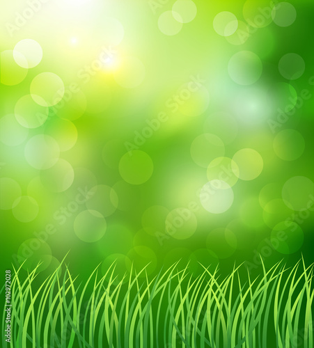 Spring background with green grass. Vector illustration.