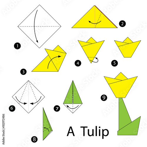 step by step instructions how to make origami tulip.