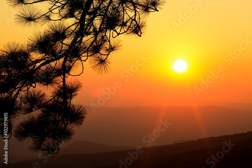 Sunrise and silhouette tree on beautiful colors sky at Phukradue