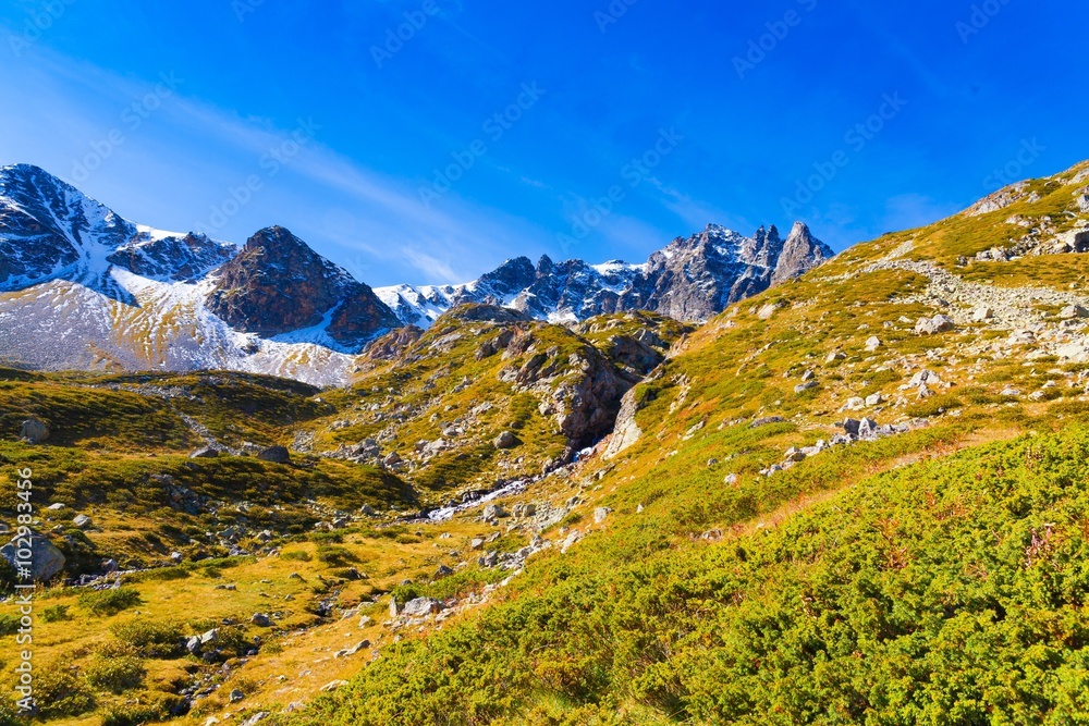 Fototapeta premium Mountain day autumn