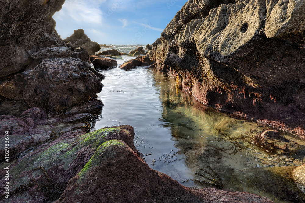 Naklejka premium Peaceful Cove / I found this small inlet on the Pacific Ocean to be a peaceful place to enjoy nature. The gentle sound of waves and the resulting ripples in the water were soothing to the soul.