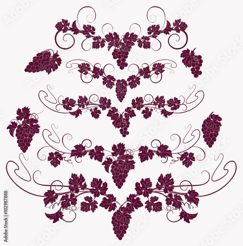 Vector design elements in vintage style with vines.