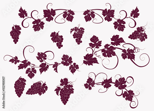 Vector design elements in vintage style with vines.