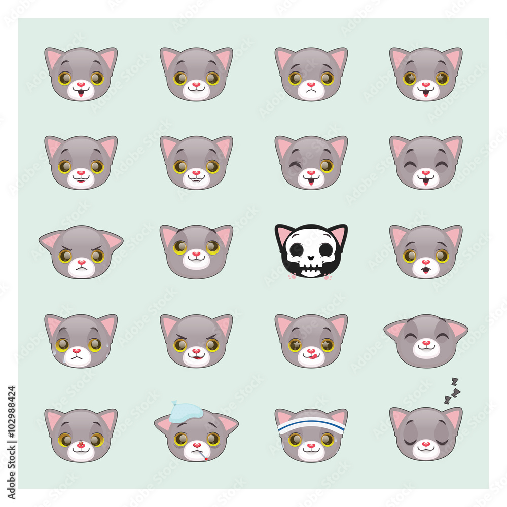 Cute gray cat expressions Cute gray cat expressions