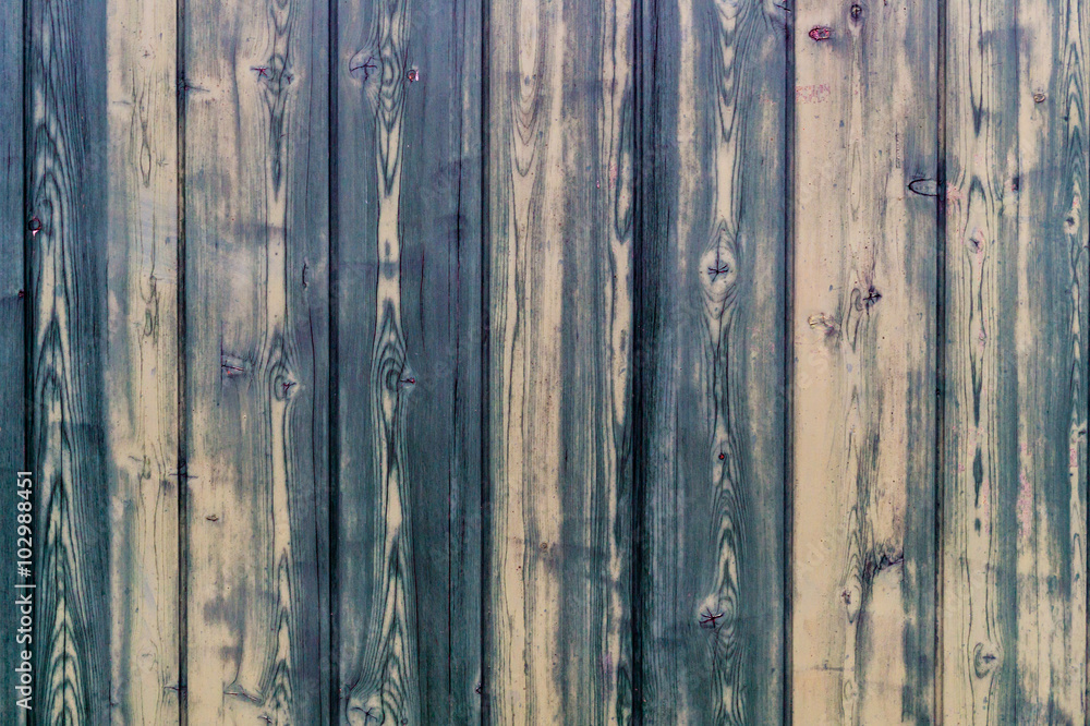 Fototapeta premium Grüne Holztexture