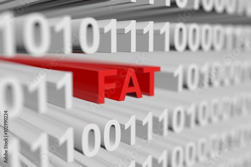 FAT is represented as a binary code with blurred background