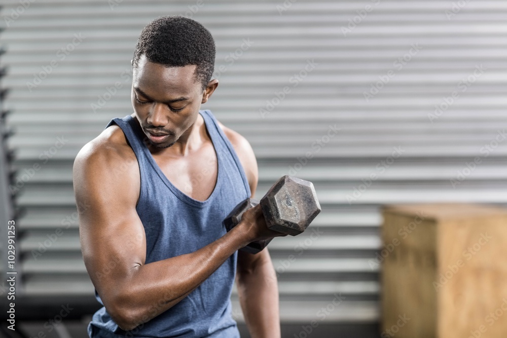 Naklejka premium Portrait of fit man lifting dumbbells