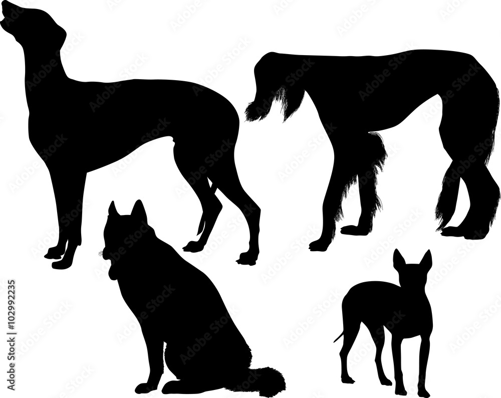 four black silhouette isolated on white dogs