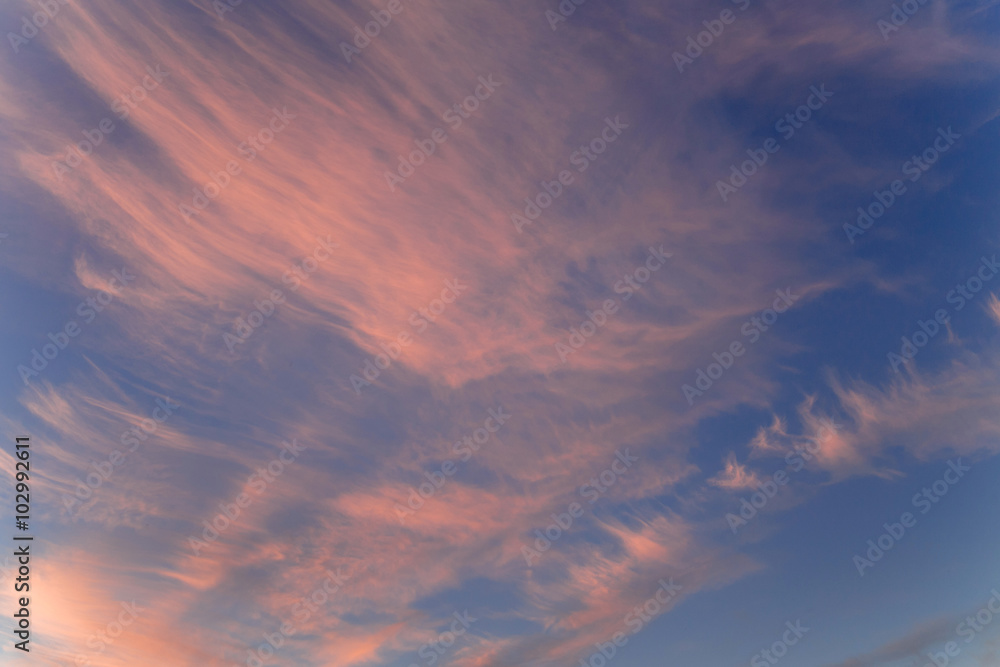 Fototapeta premium lovely clouds at sunset winter day