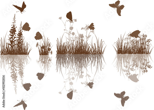 brown plants and butterflies isolated on white