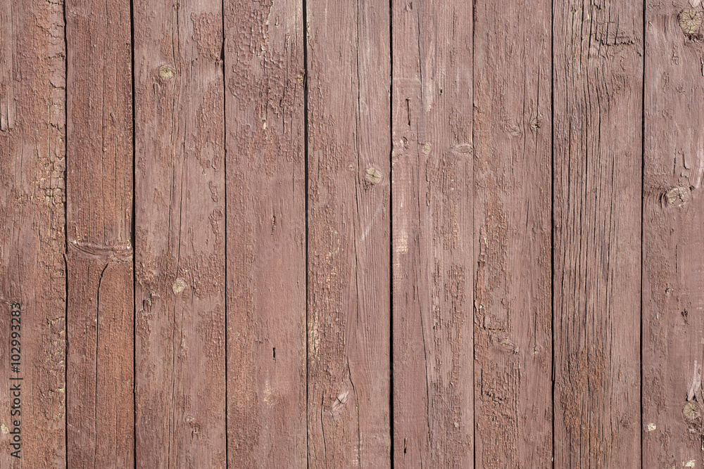 Fototapeta premium Plank covering of a fence