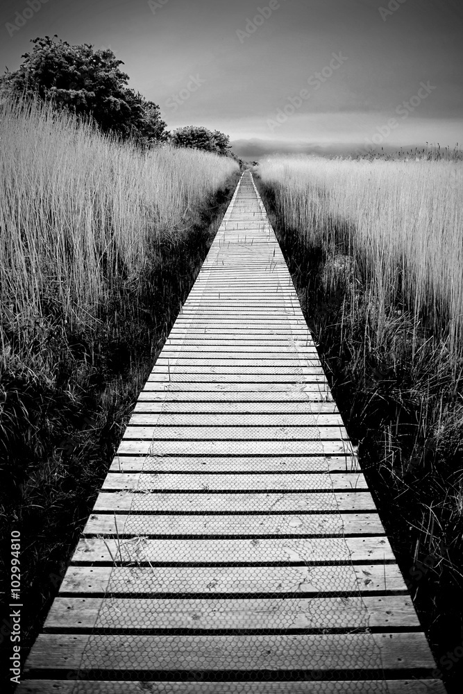 Wetland Walkway - Scotland  - obrazy, fototapety, plakaty 