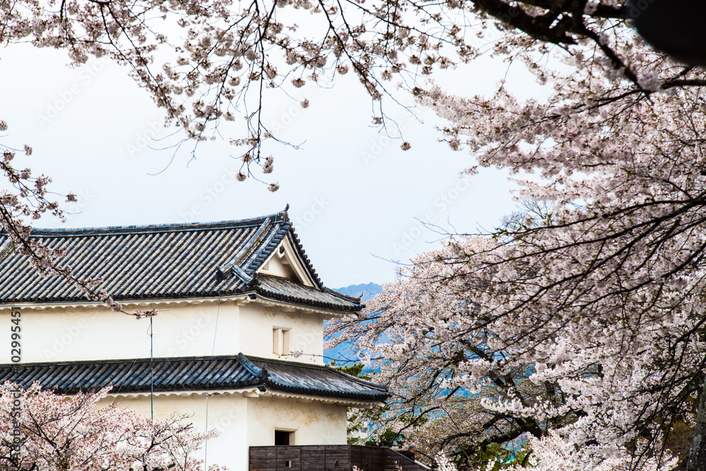 The perspective view of kyoto stree view as background in the s The perspective view of kyoto stree view as background in the s