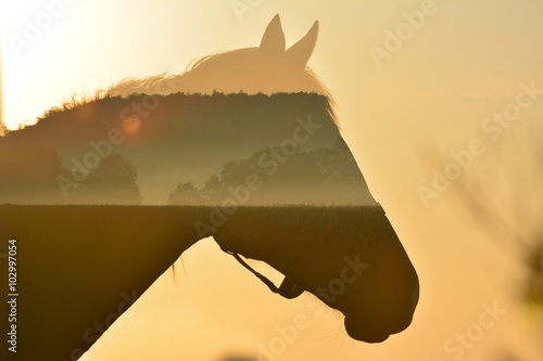 Beautiful sunrise inside horse in art, multiexposition