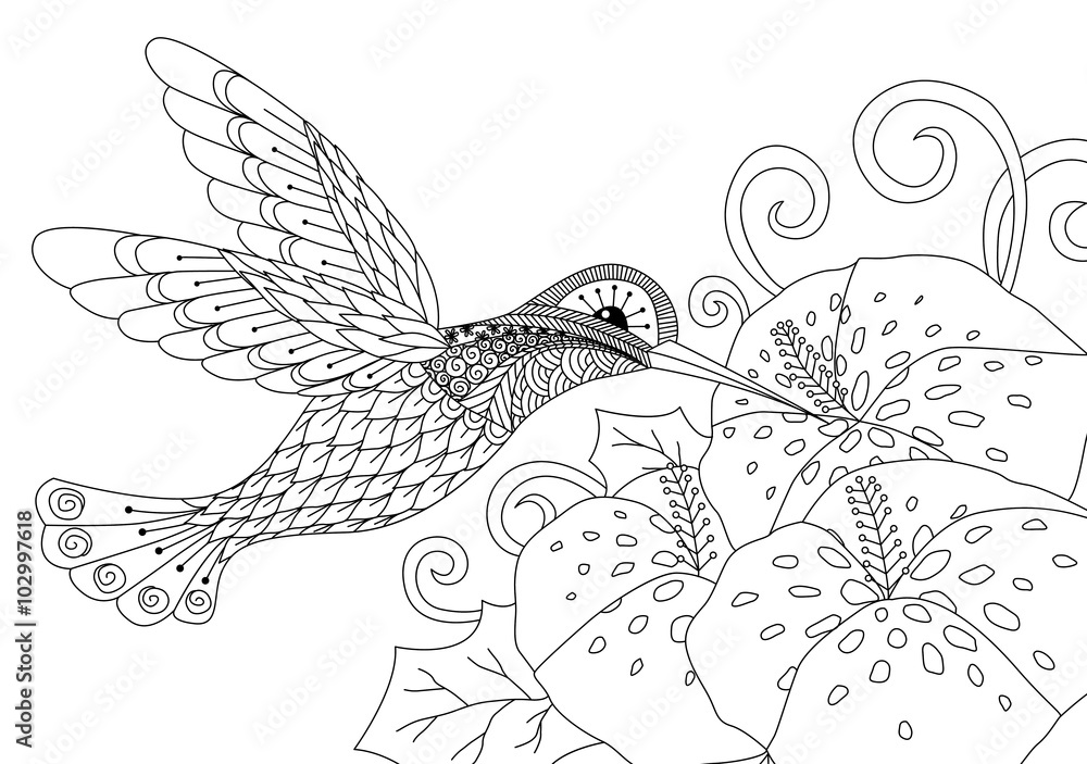 Naklejka premium Zentangle humming bird design for coloring book for adult