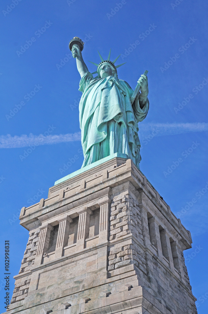 Fototapeta premium Statue of Liberty 