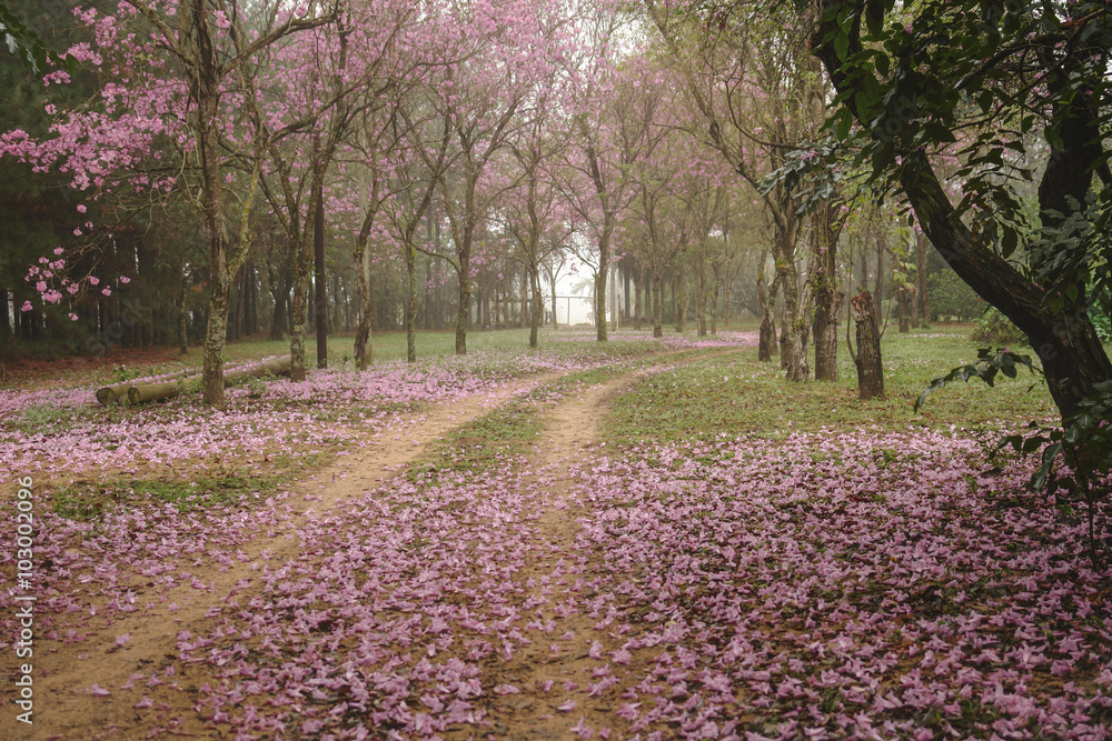 Naklejka premium Flowers on the floor