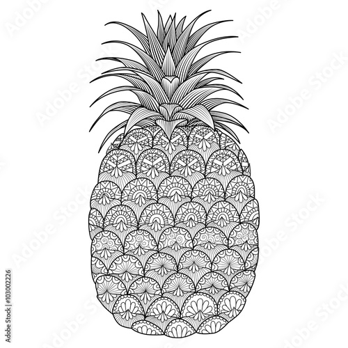 Pineapple line art design for coloring book for adult,t shirt design, logo, flyer and so on