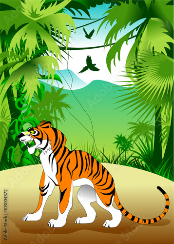 Fototapeta Naklejka Na Ścianę i Meble -  tiger in the jungle