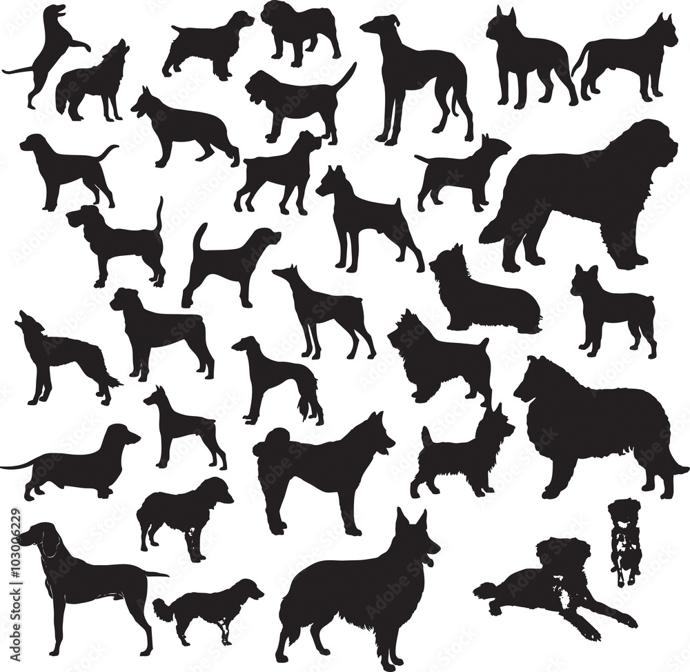 Dogs silhouette vector illustration. Eps 10 Dogs silhouette vector illustration. Eps 10