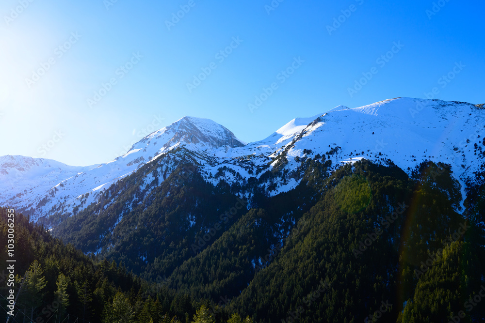 Fototapeta premium snow-capped mountains