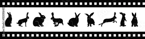 Rabbit silhouette on movie tape vector illustration. Eps 10