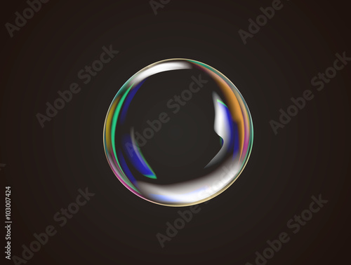 Transparent rainbow soap bubble vector.