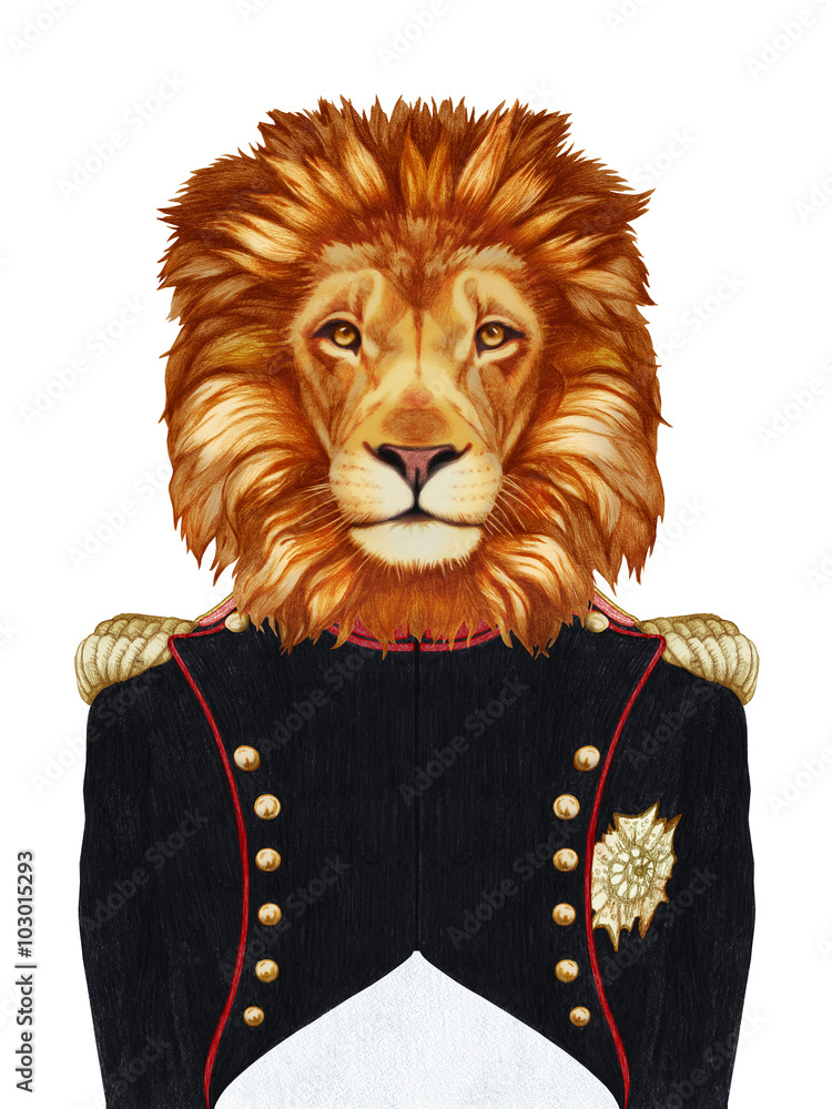 Fototapeta premium Portrait of Lion in military uniform. Hand-drawn illustration, digitally colored. 