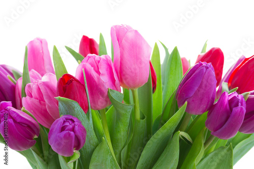 bouquet of    tulips 