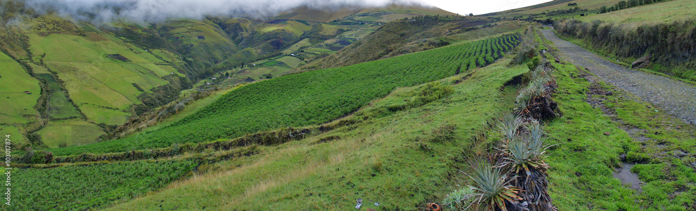 Typical foggy landscape in rural areas of Ecuador

